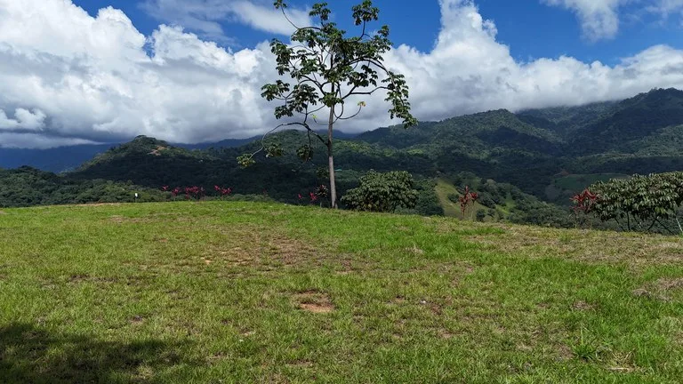 Stunning Ocean, Mountain, and Valley View Property in Tres Rios, photo 12