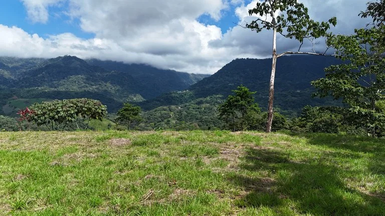 Stunning Ocean, Mountain, and Valley View Property in Tres Rios, photo 14