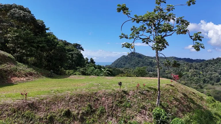 Stunning Ocean, Mountain, and Valley View Property in Tres Rios, photo 15