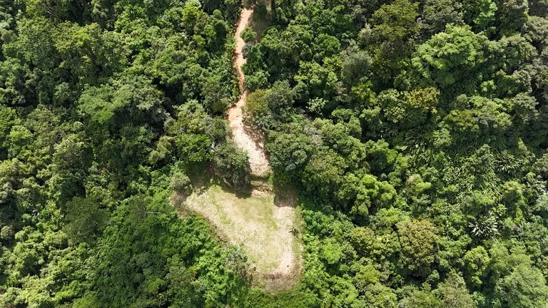 Stunning Ocean, Mountain, and Valley View Property in Tres Rios, photo 3