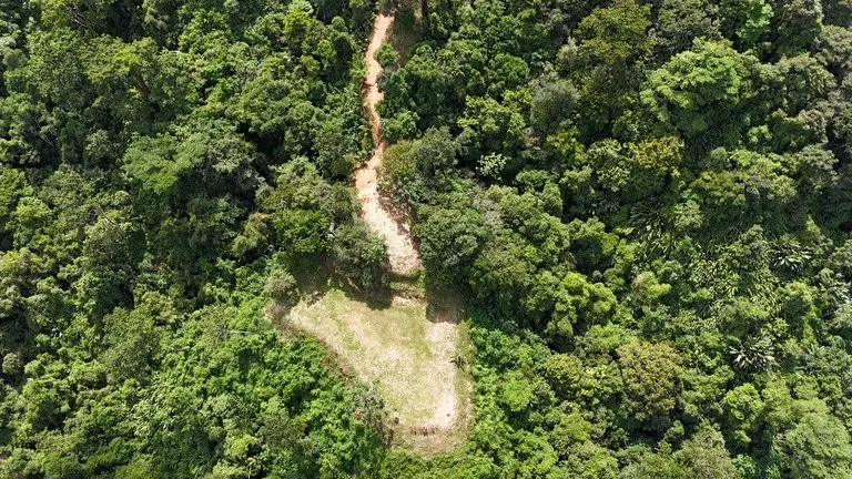 Stunning Ocean, Mountain, and Valley View Property in Tres Rios, photo 4