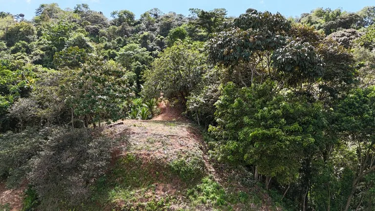 Stunning Ocean, Mountain, and Valley View Property in Tres Rios, photo 7