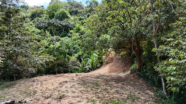 Stunning Ocean, Mountain, and Valley View Property in Tres Rios, photo 8