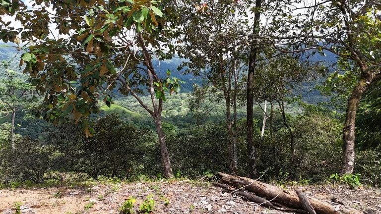 Stunning Ocean, Mountain, and Valley View Property in Tres Rios, photo 9