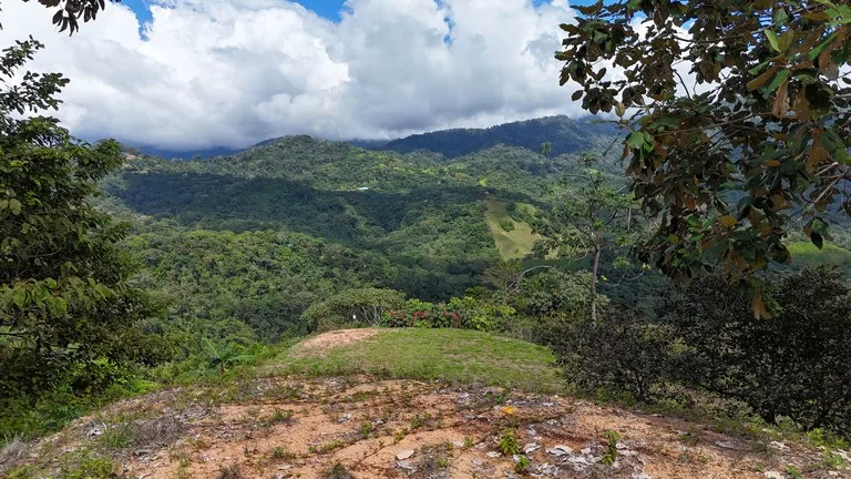 Stunning Ocean, Mountain, and Valley View Property in Tres Rios, photo 10