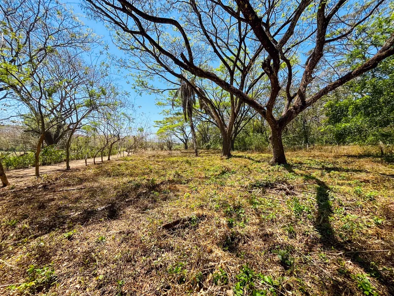 Land For Sale in Playa San Miguel
