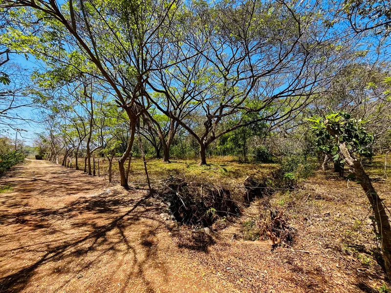 Land For Sale in Playa San Miguel, photo 2