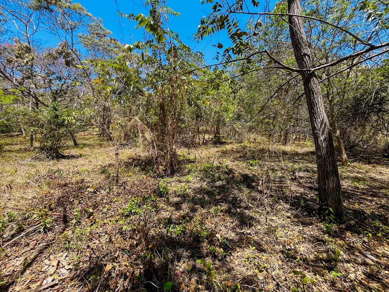 Land For Sale in Playa San Miguel, photo 3