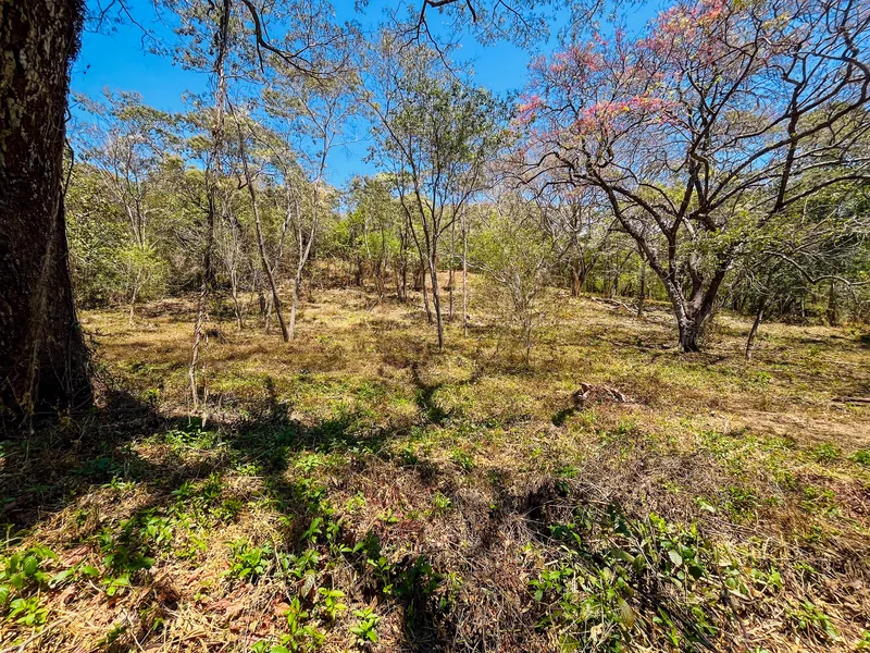 Land For Sale in Playa San Miguel, photo 5