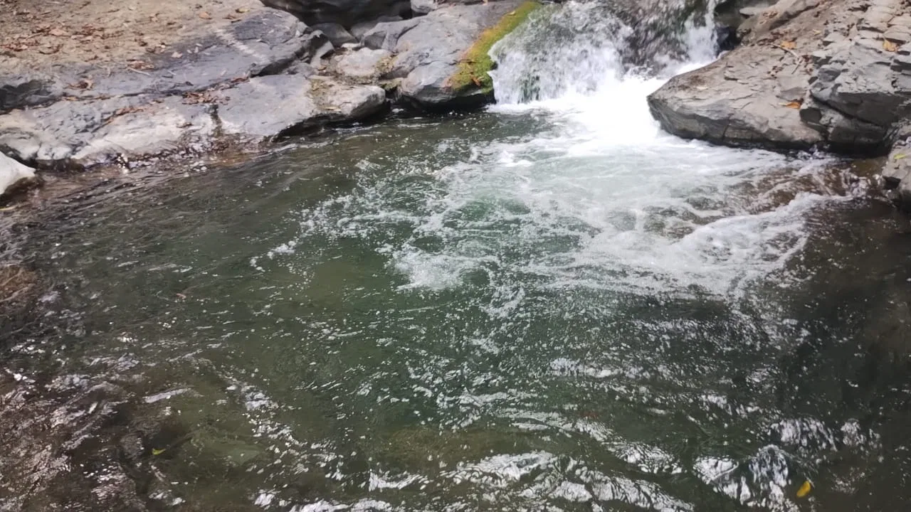 RIVER ACCESS, LEGAL WATER,ELECTRICITY, NATURAL BUILDING SITES – 9 ACRES