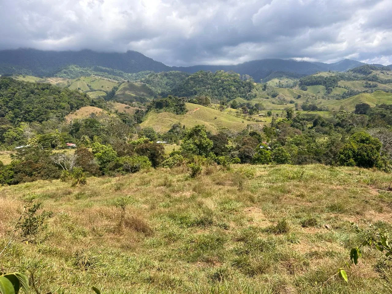 RIVER ACCESS, LEGAL WATER,ELECTRICITY, NATURAL BUILDING SITES – 9 ACRES, photo 11