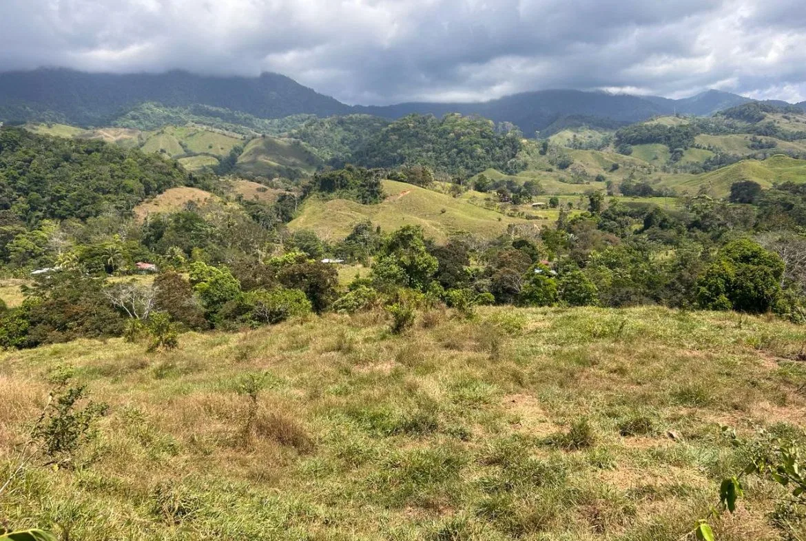 RIVER ACCESS, LEGAL WATER,ELECTRICITY, NATURAL BUILDING SITES – 9 ACRES, photo 12