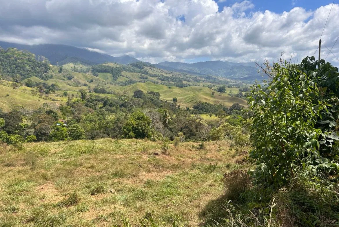 RIVER ACCESS, LEGAL WATER,ELECTRICITY, NATURAL BUILDING SITES – 9 ACRES, photo 14