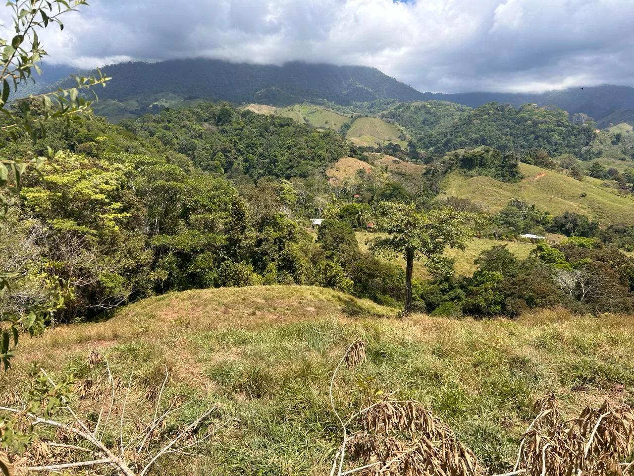 RIVER ACCESS, LEGAL WATER,ELECTRICITY, NATURAL BUILDING SITES – 9 ACRES, photo 15