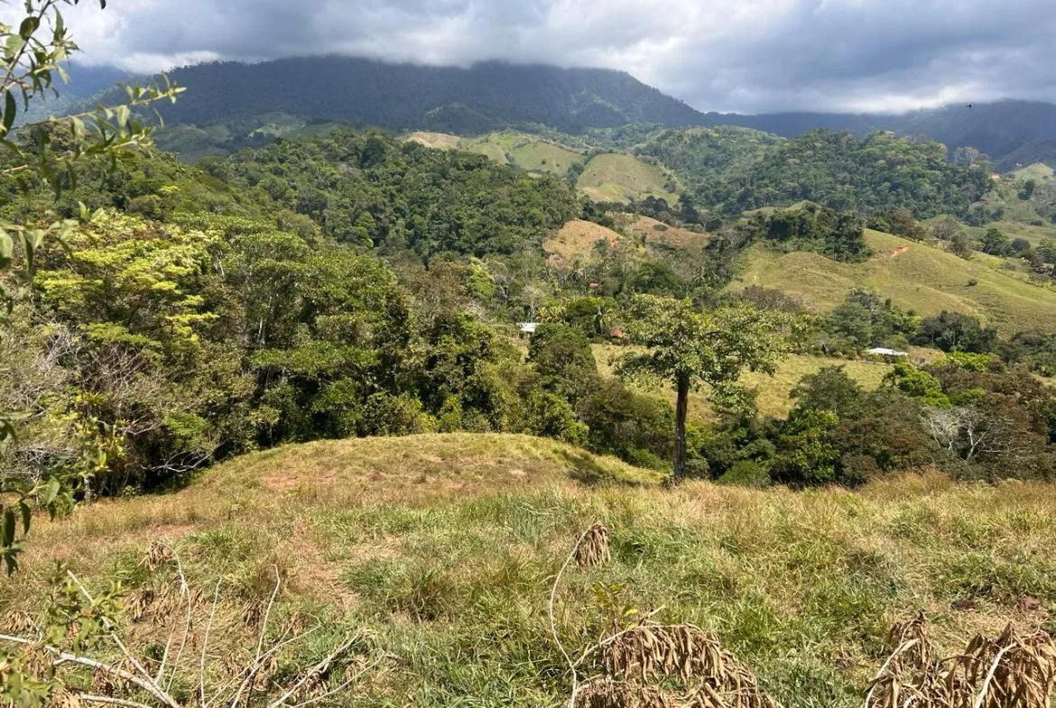 RIVER ACCESS, LEGAL WATER,ELECTRICITY, NATURAL BUILDING SITES – 9 ACRES, photo 16