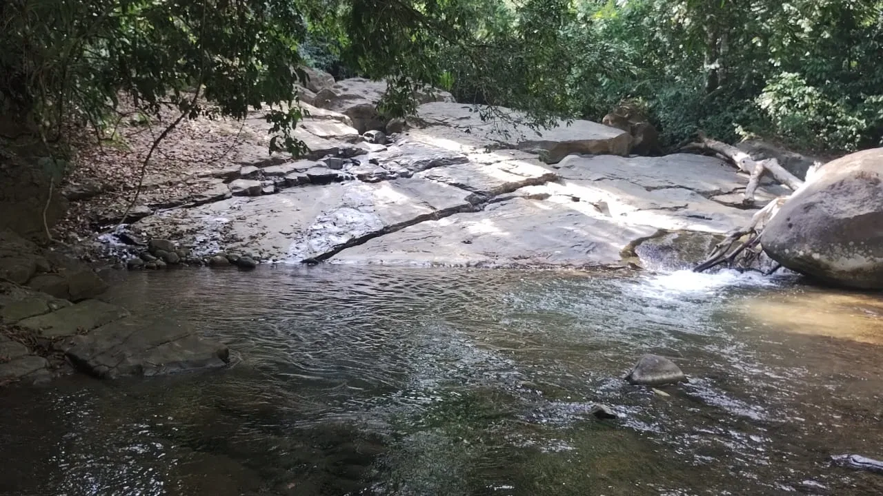 RIVER ACCESS, LEGAL WATER,ELECTRICITY, NATURAL BUILDING SITES – 9 ACRES, photo 5