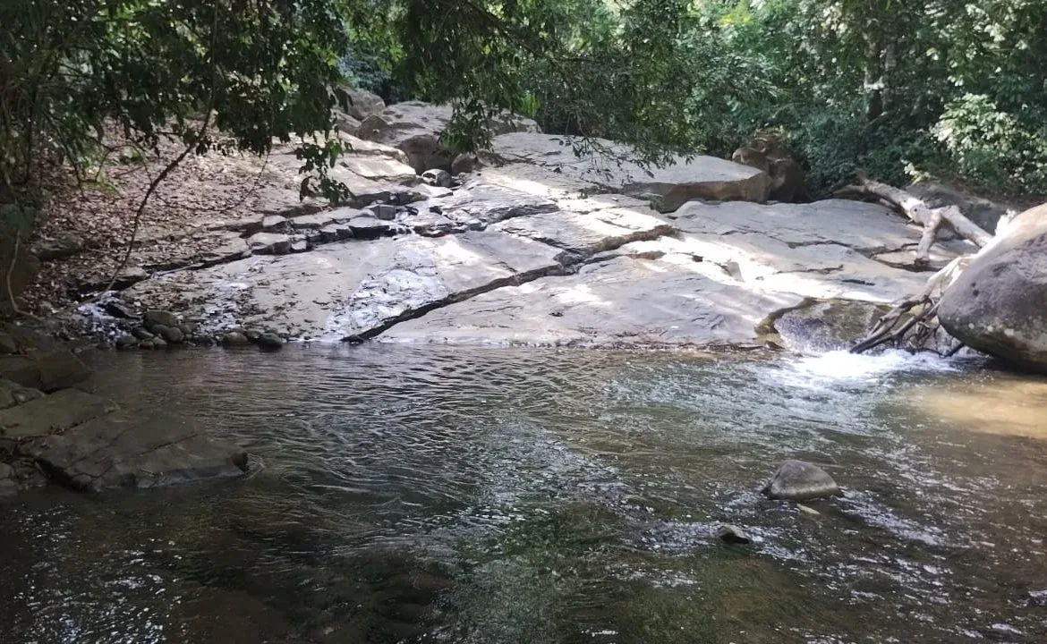 RIVER ACCESS, LEGAL WATER,ELECTRICITY, NATURAL BUILDING SITES – 9 ACRES, photo 6