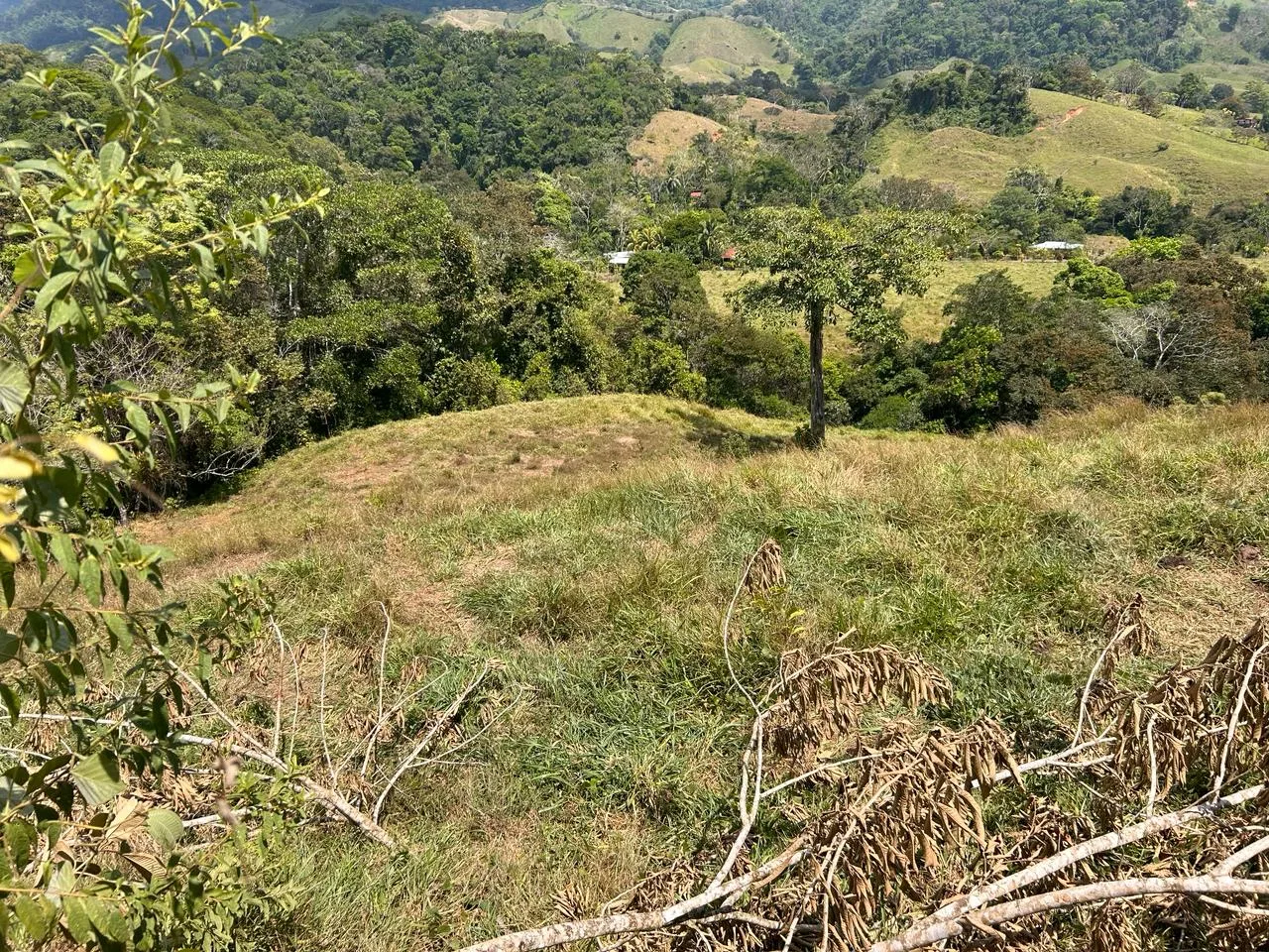 RIVER ACCESS, LEGAL WATER,ELECTRICITY, NATURAL BUILDING SITES – 9 ACRES, photo 7