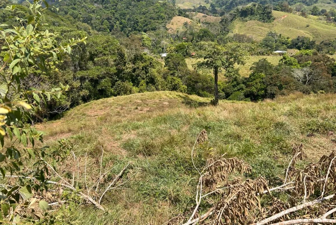 RIVER ACCESS, LEGAL WATER,ELECTRICITY, NATURAL BUILDING SITES – 9 ACRES, photo 8