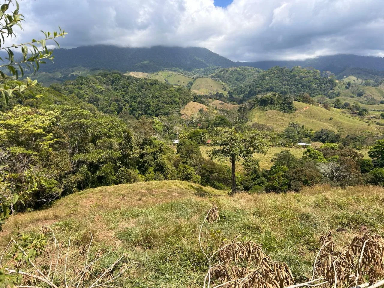 RIVER ACCESS, LEGAL WATER,ELECTRICITY, NATURAL BUILDING SITES – 9 ACRES, photo 9