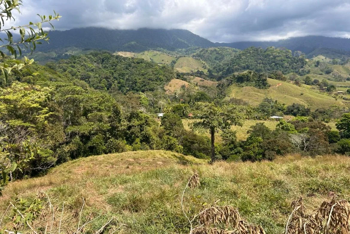 RIVER ACCESS, LEGAL WATER,ELECTRICITY, NATURAL BUILDING SITES – 9 ACRES, photo 10