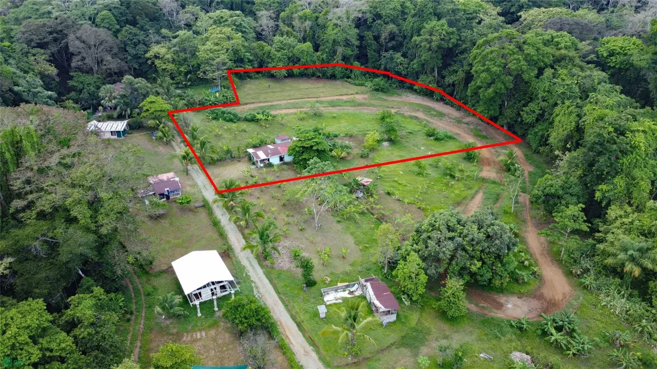 Calle 611, Pavón, Puntarenas 60704