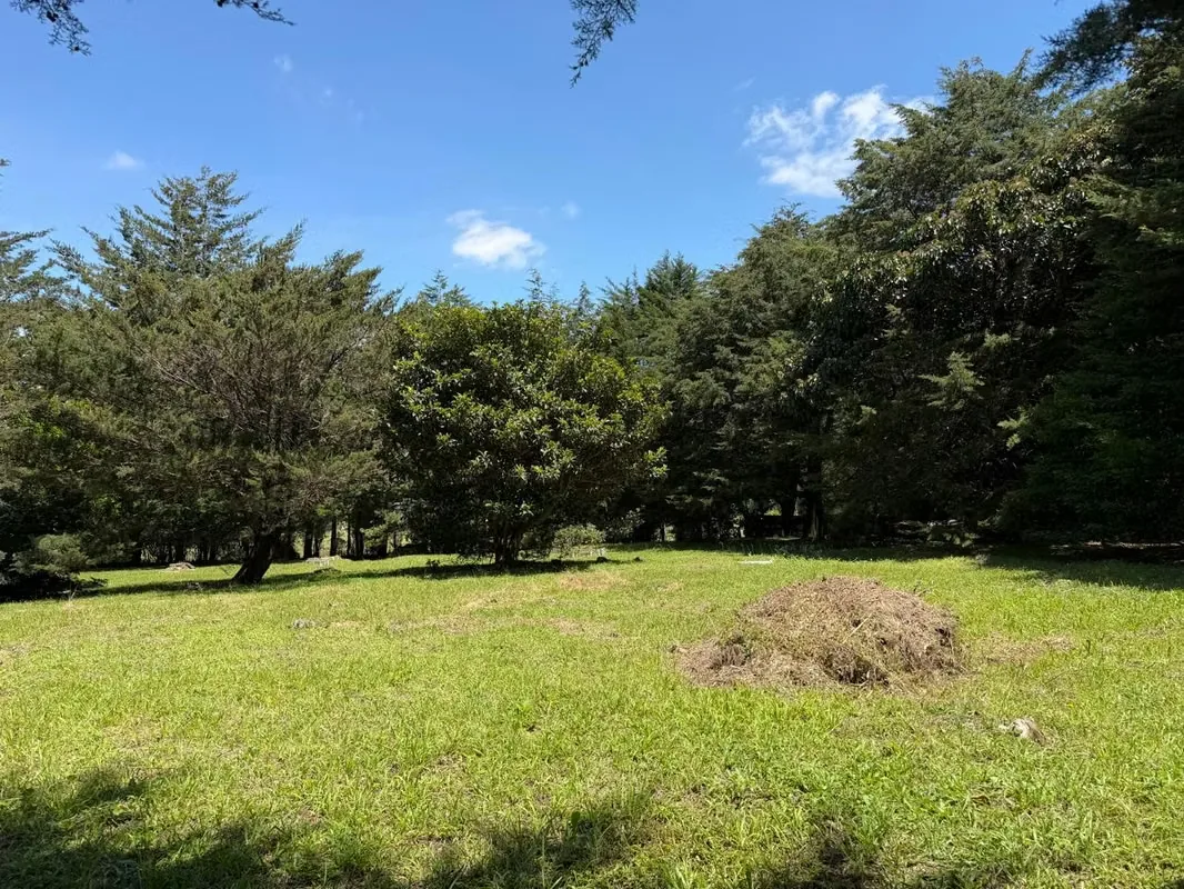 Lote Plano de Ensueño en La Chorrera, abran sólo 500 metros del bosque de la hoja , San Rafael de Heredia , esta hermosa propiedad ubicada en las montañas de San Rafael de ...