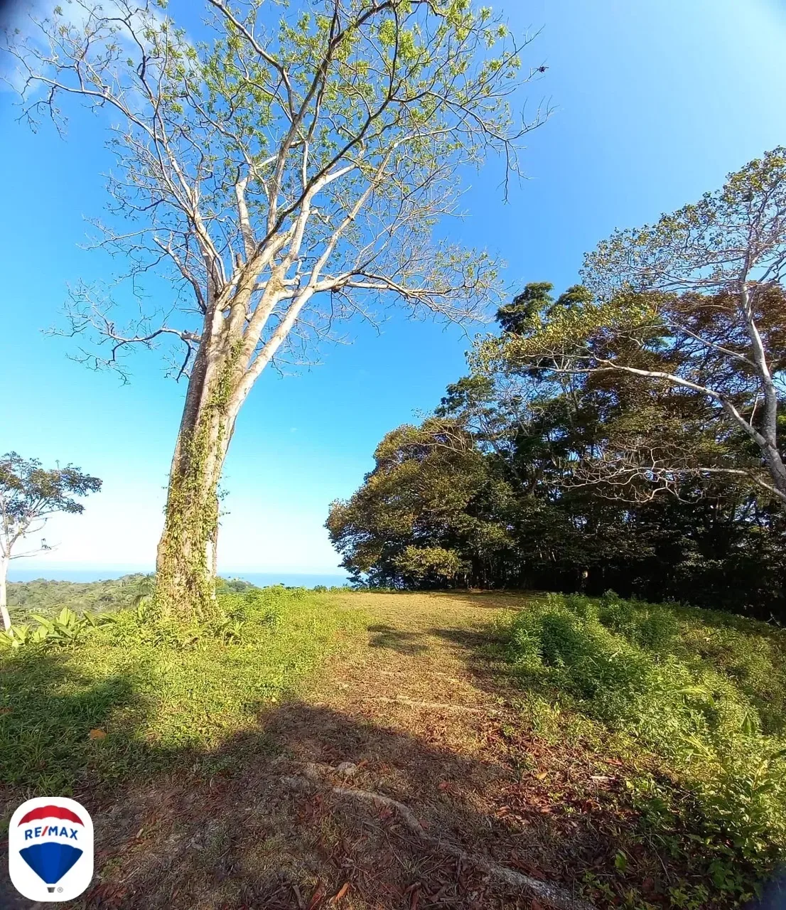 Premier 5 Hectare Full Oceanview Estate Lot | RE/MAX Jungle