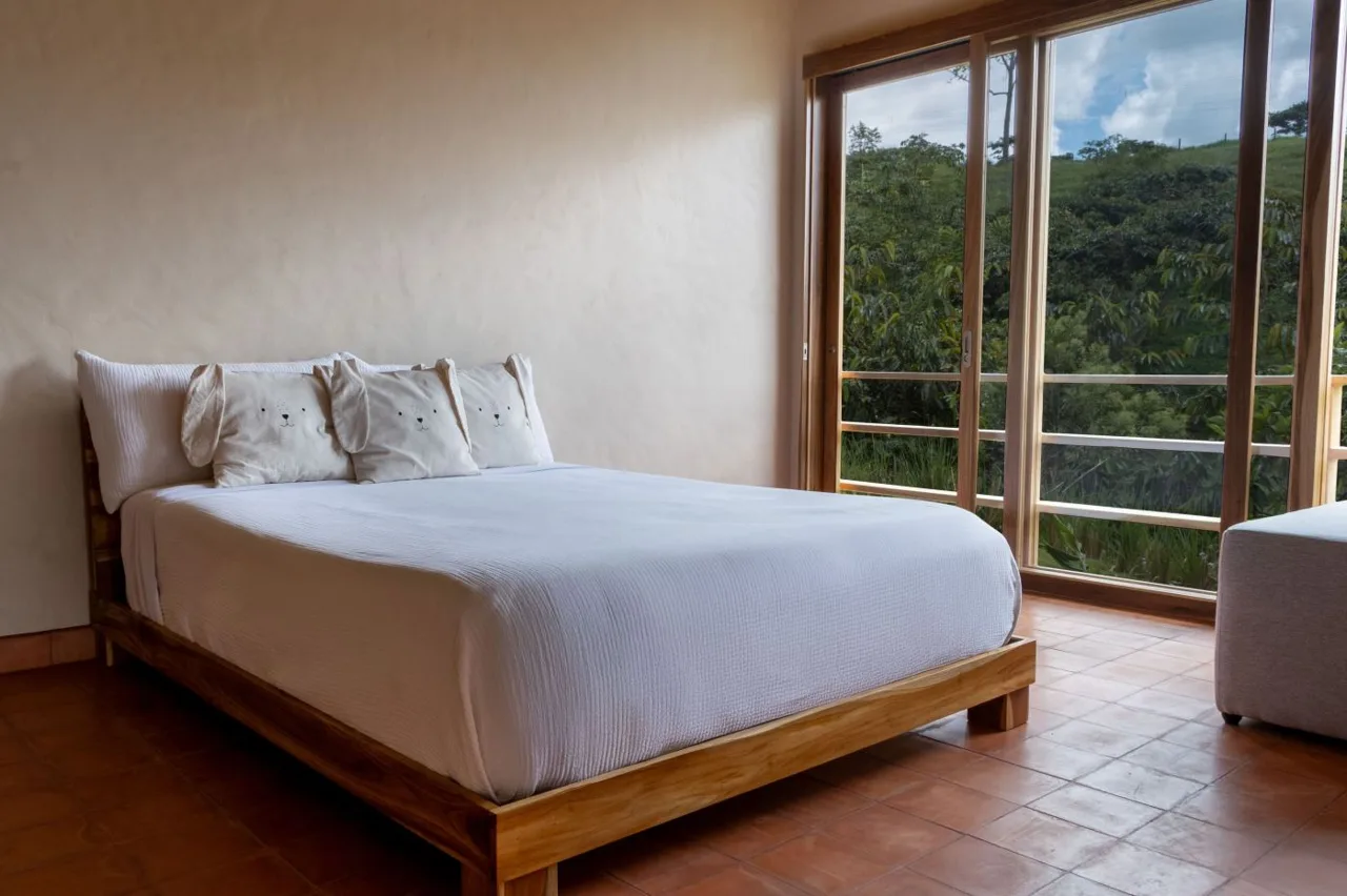 Luxury Eco-Teak Mountain Home w/ Views in RISE Community, Pérez Zeledón, photo 6