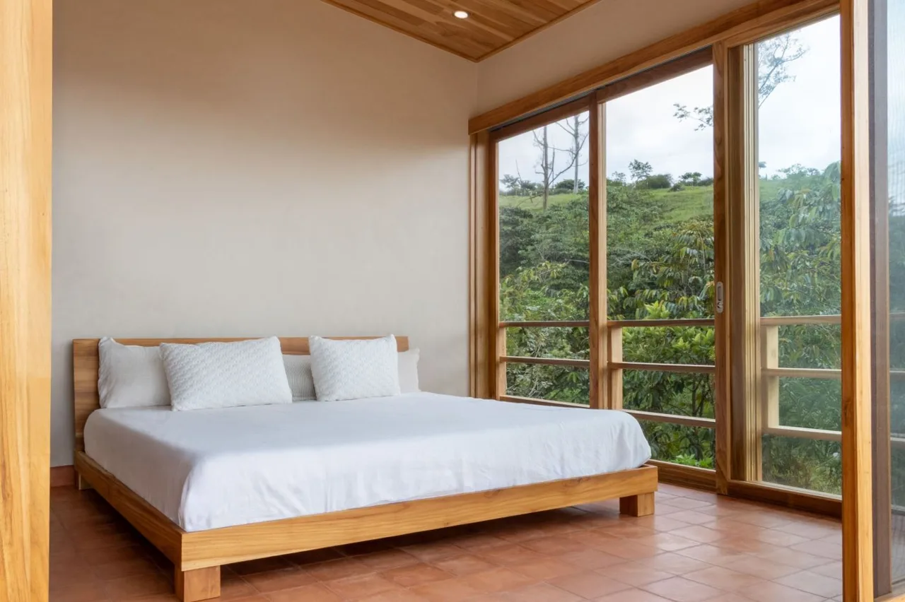 Luxury Eco-Teak Mountain Home w/ Views in RISE Community, Pérez Zeledón, photo 9