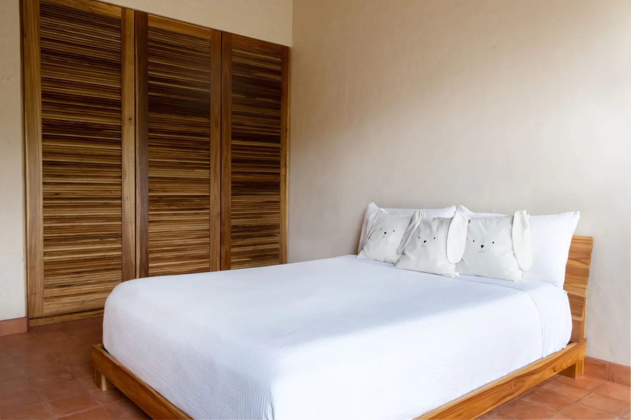 Luxury Eco-Teak Mountain Home w/ Views in RISE Community, Pérez Zeledón, photo 10