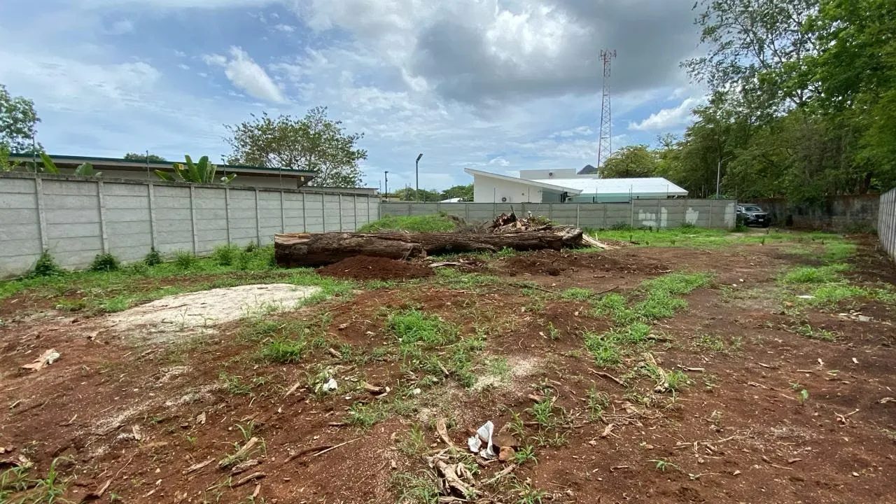 Land For Sale in Huacas, photo 4