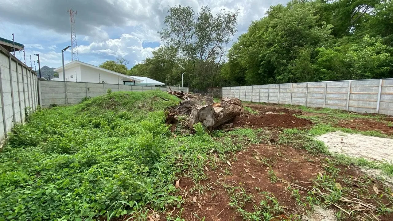 Land For Sale in Huacas, photo 5