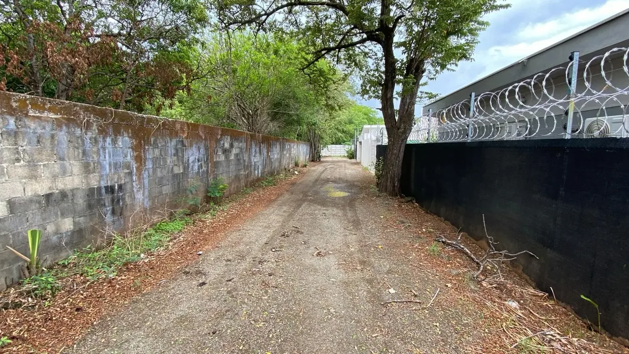 Land For Sale in Huacas, photo 8
