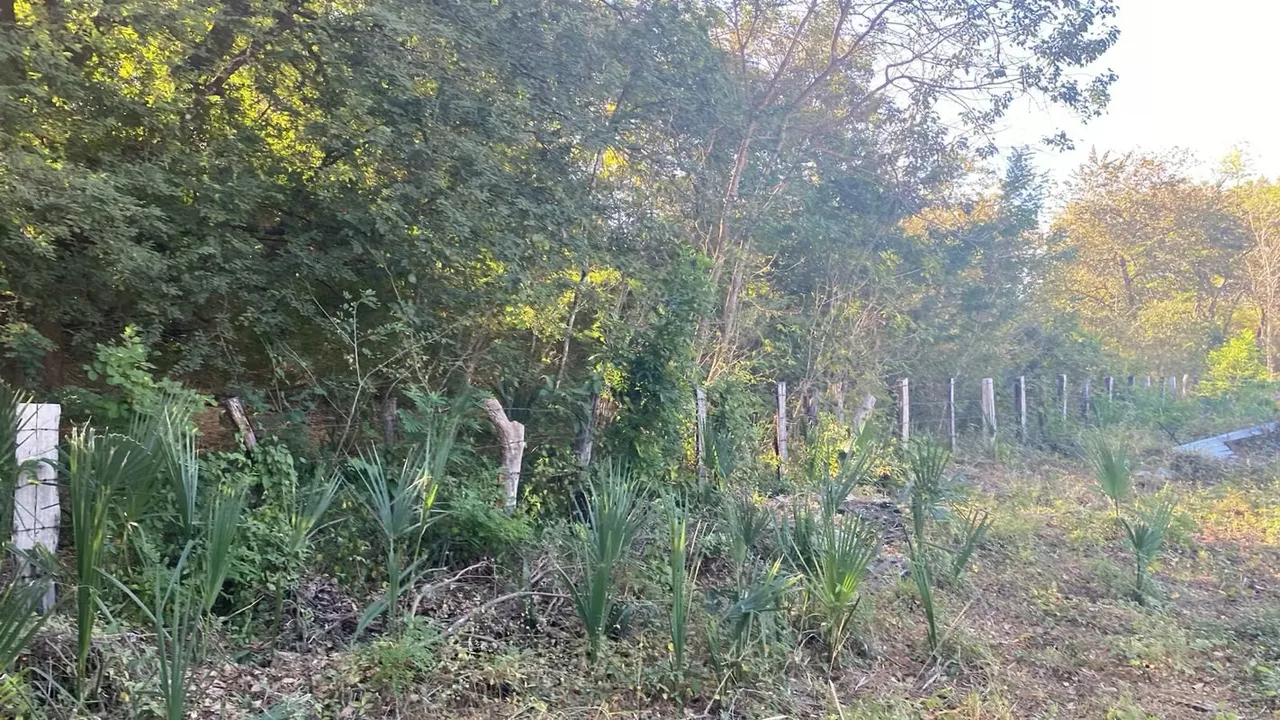 Land For Sale in Huacas, photo 9