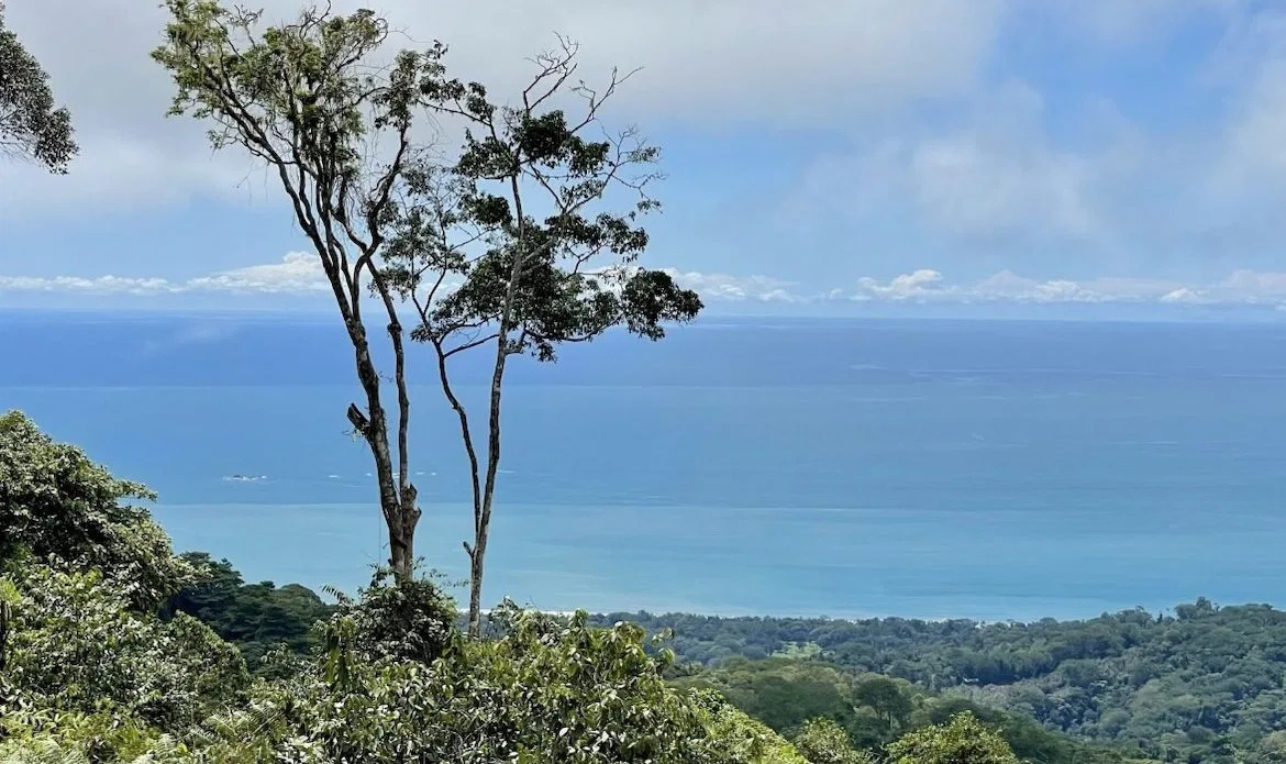 OCEAN VIEW LOTS IN UVITA MOUNTAINS STARTING AT $250K, photo 2