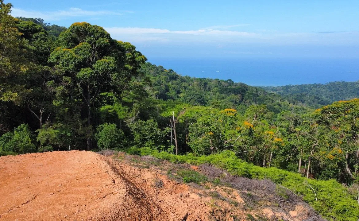 OCEAN VIEW LOTS IN UVITA MOUNTAINS STARTING AT $250K, photo 12