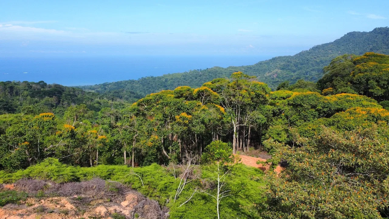 OCEAN VIEW LOTS IN UVITA MOUNTAINS STARTING AT $250K, photo 3