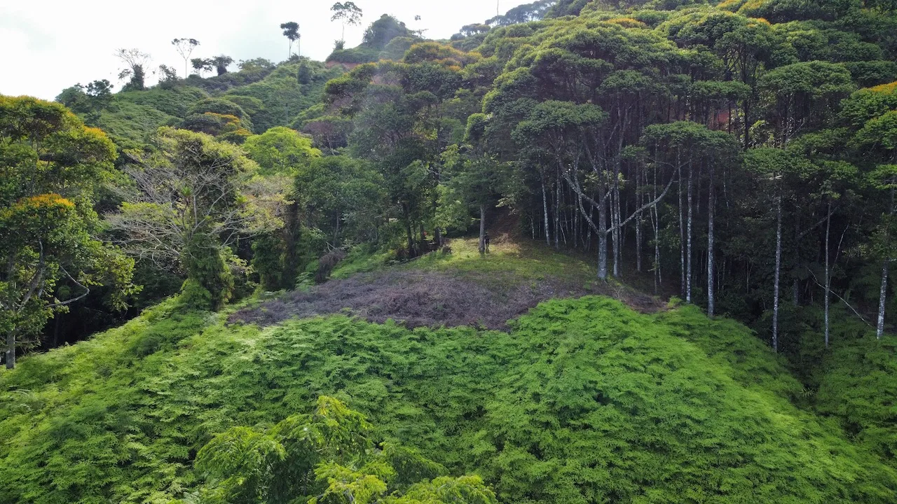 OCEAN VIEW LOTS IN UVITA MOUNTAINS STARTING AT $250K, photo 21