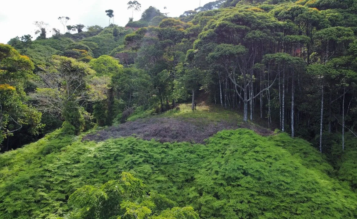 OCEAN VIEW LOTS IN UVITA MOUNTAINS STARTING AT $250K, photo 22