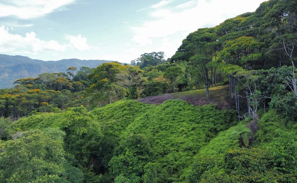 OCEAN VIEW LOTS IN UVITA MOUNTAINS STARTING AT $250K, photo 24