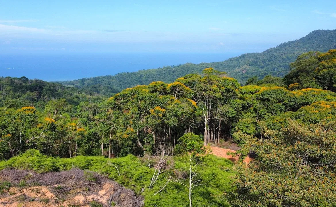 OCEAN VIEW LOTS IN UVITA MOUNTAINS STARTING AT $250K, photo 4