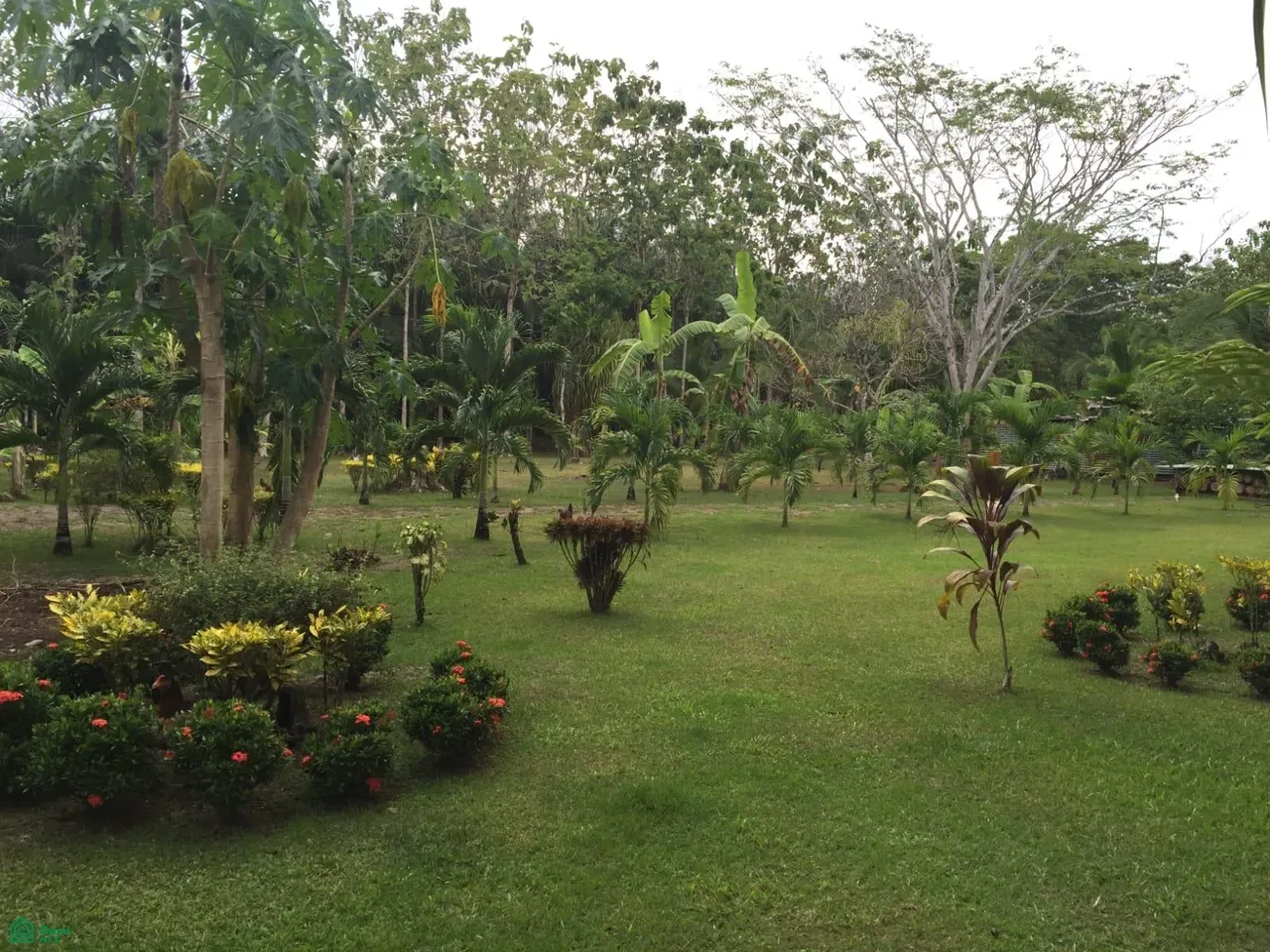 Puerto Jimenez, Puntarenas, Puntarenas 61301