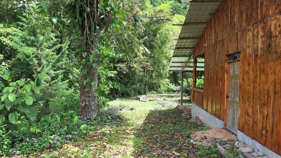 PROPIEDAD DE 2819m²,CON CABAÑA Y RIO IMPRESIONANTE EN PZ. - Venta en Perez Zeledón, photo 12
