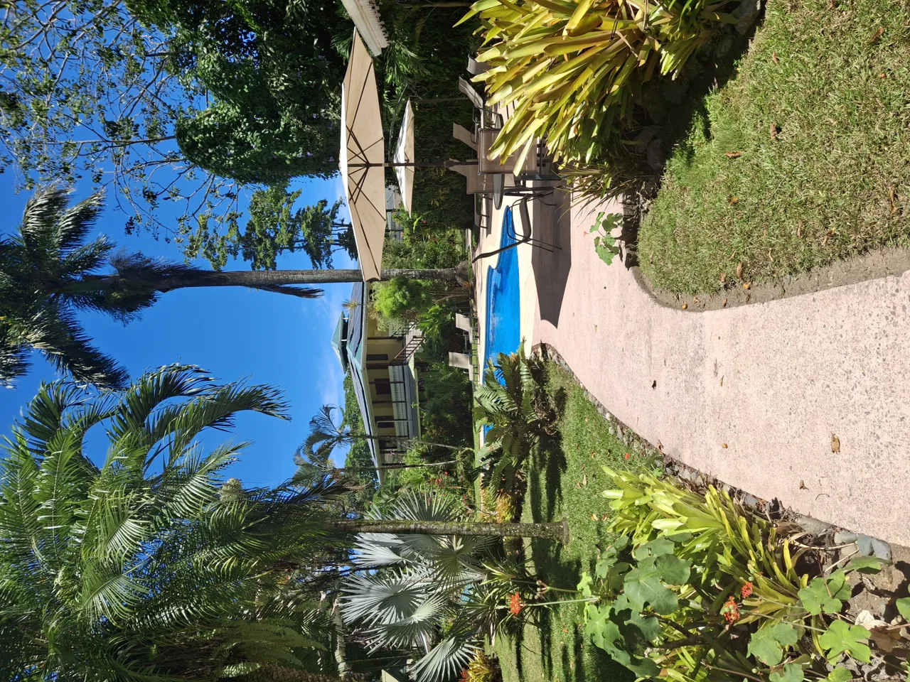 Ocean front Guesthouse for sale turnkey business
