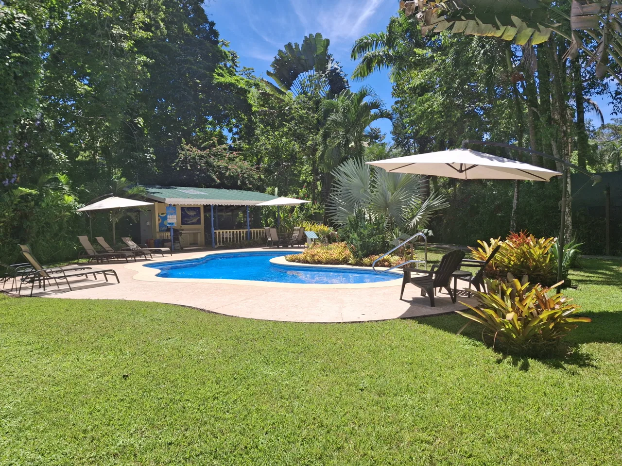 Ocean front Guesthouse for sale turnkey business, photo 4