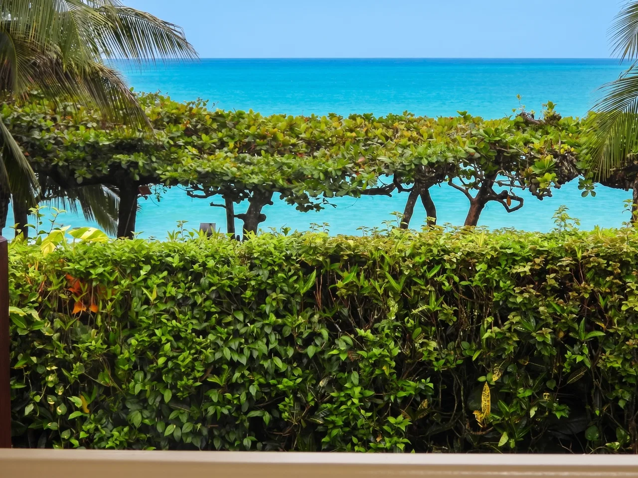 Ocean front Guesthouse for sale turnkey business, photo 6