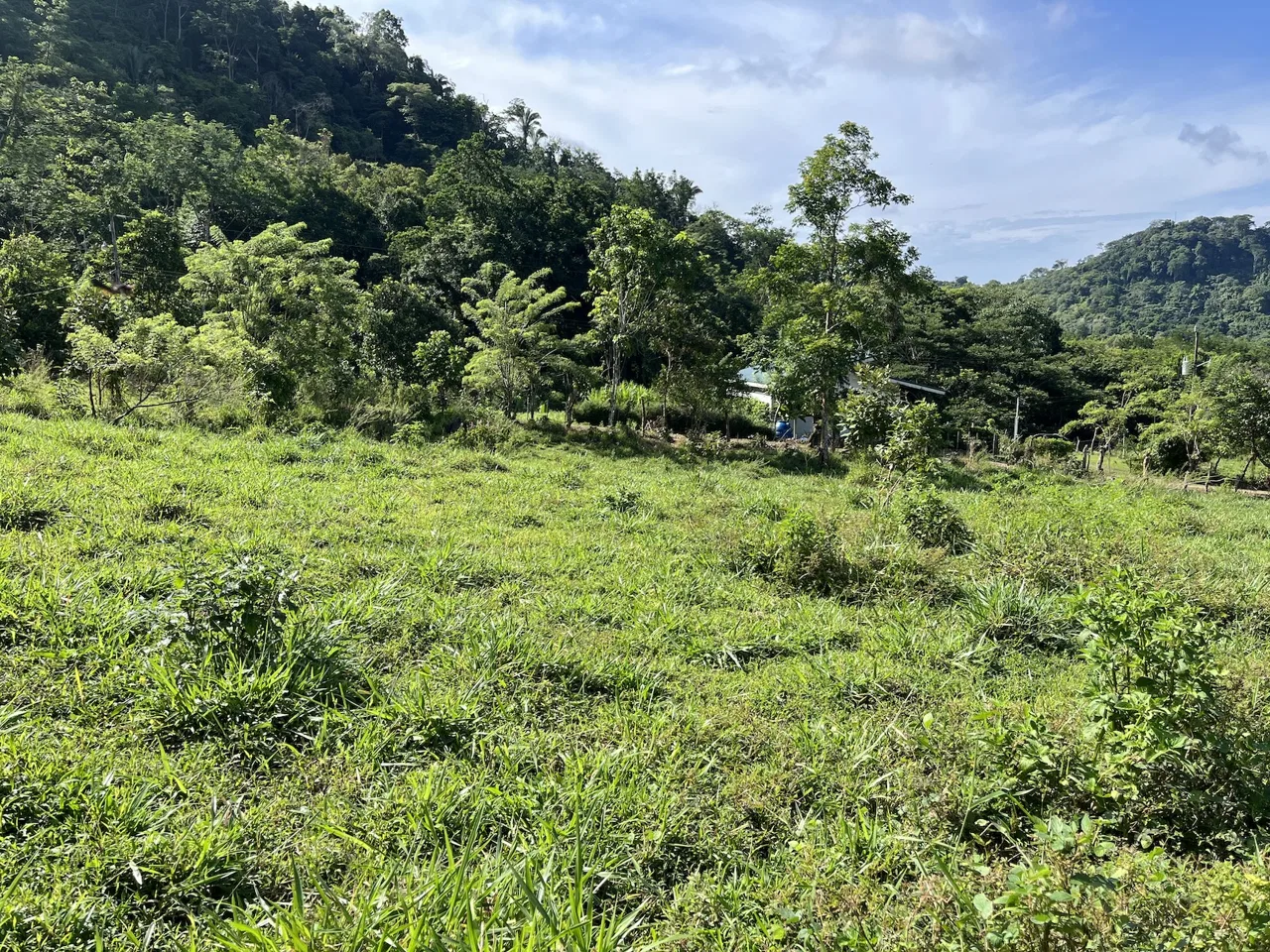 SPACIOUS LOT WITH PANORAMIC OCEAN VIEWS, IN SAN BUENAVENTURA DE CORONADO – 0.74 ACRES, photo 11