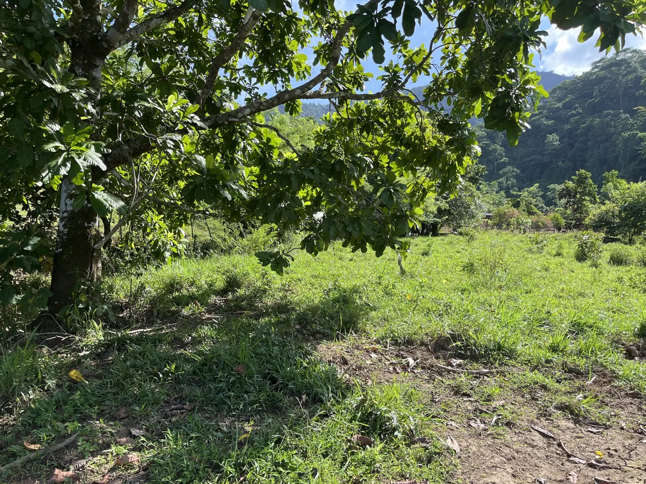 SPACIOUS LOT WITH PANORAMIC OCEAN VIEWS, IN SAN BUENAVENTURA DE CORONADO – 0.74 ACRES, photo 14