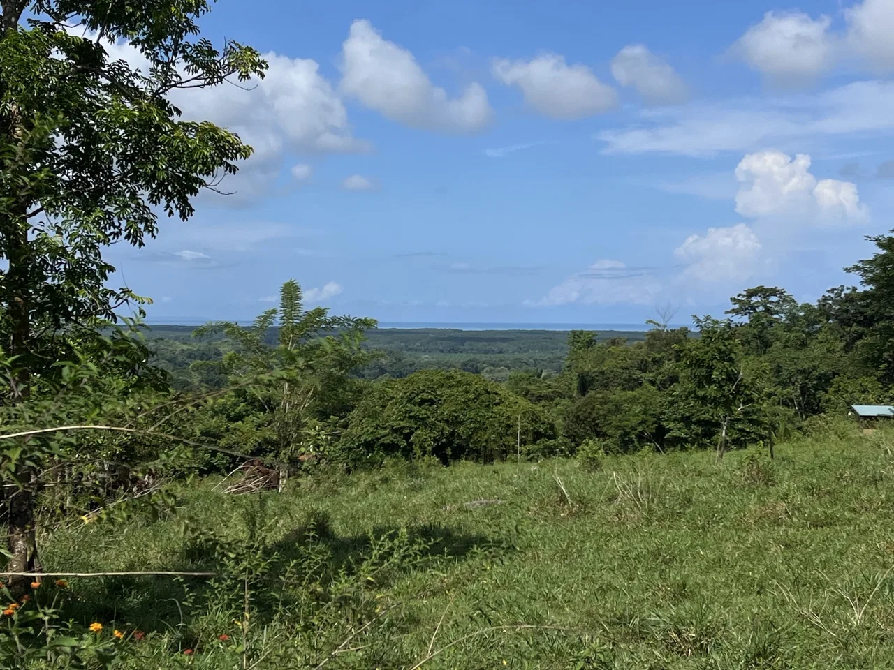 SPACIOUS LOT WITH PANORAMIC OCEAN VIEWS, IN SAN BUENAVENTURA DE CORONADO – 0.74 ACRES, photo 15